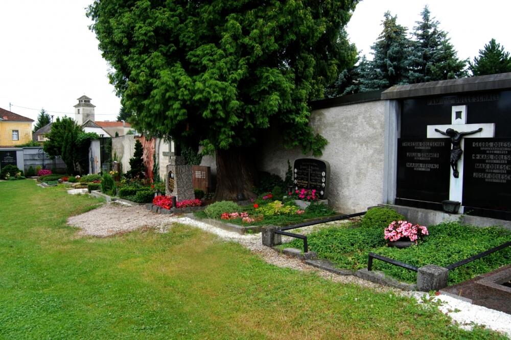 Alojz i Klara Hitler, Foto: Reuters