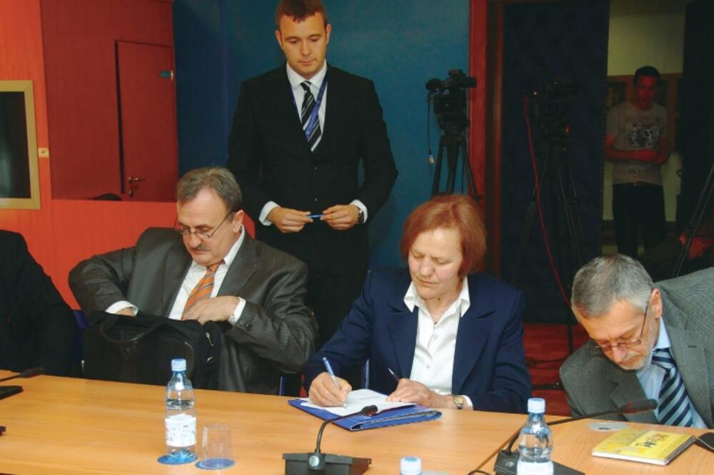 RAE skupštinski odbor, Foto: Boris Pejović