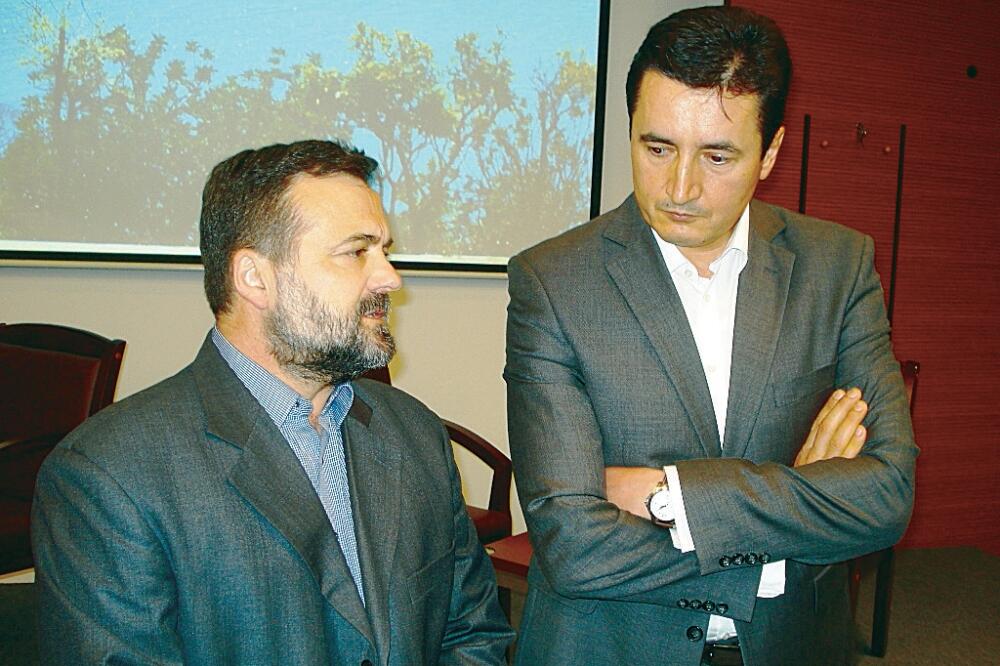 Predrag Sekulić, Foto: Siniša Luković