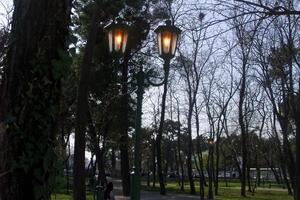 Podgorica: Javna rasvjeta radi usred sunčanog dana