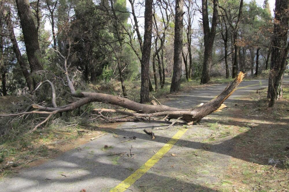 Gorica, Foto: Siniša Vukčević