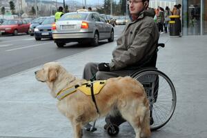 Šaranović ostao ispred suda jer nema ulaza za invalidska kolica