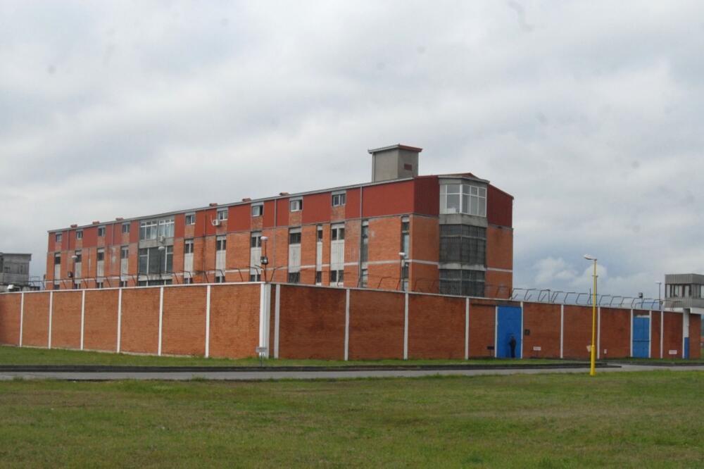 ZIKS, Foto: Savo Prelević