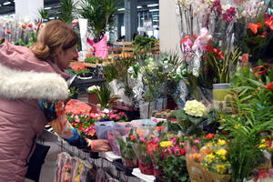 Ulična prodaja uništava cvjećare