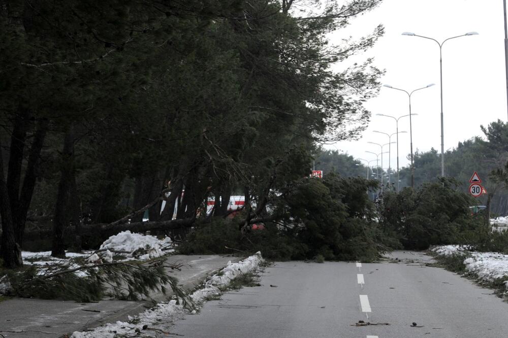 vjetar, podgorica, Foto: Savo Prelević