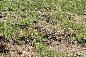 Mladić umro obarajući rekord u vremenu provedenom pod zemljom