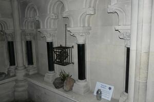 Ukradeno srce zaštitnika Dablina