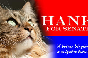 Mačak Hank kandidat za senatora u Virdžiniji