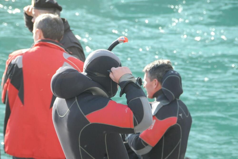 ronioci, morača davljenik, Foto: Luka Zeković
