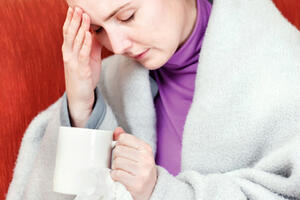 Zagrebu prijeti epidemija mišje groznice?