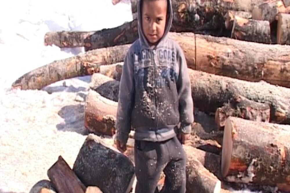 Pljevlja Romi drva, Foto: Goran Malidžan