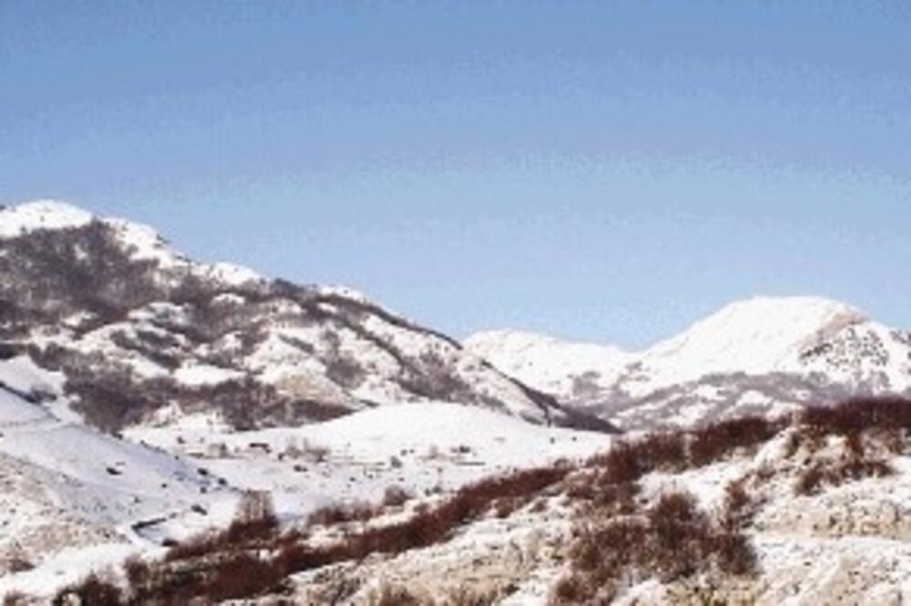 lipovina_1, Foto: D.JOVIĆEVIĆ