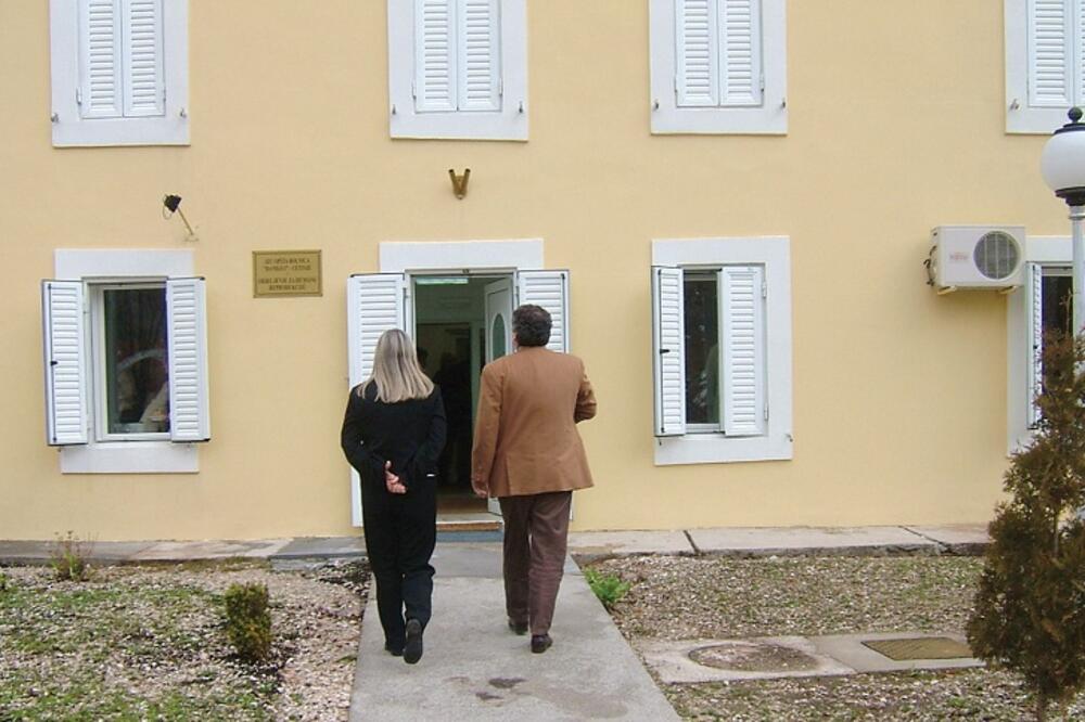 vantjelesna oplodnja, Foto: Arhiva Vijesti