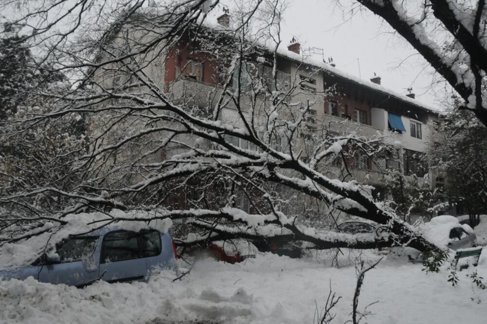 podgorica, snijeg nevrijeme, Foto: Vesko Belojević