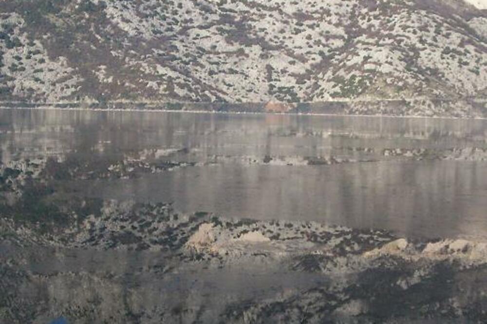 more boka, Foto: Radio Kotor