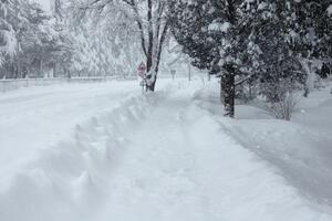 Na račune solidarnosti uplaćeno oko 70 hiljada eura
