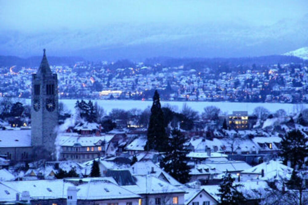 Cirih, Foto: Switzerland-trips.com