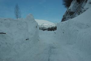 Svi koji nešto znaju o Danici Mandić (80) iz Andrijevice da se...