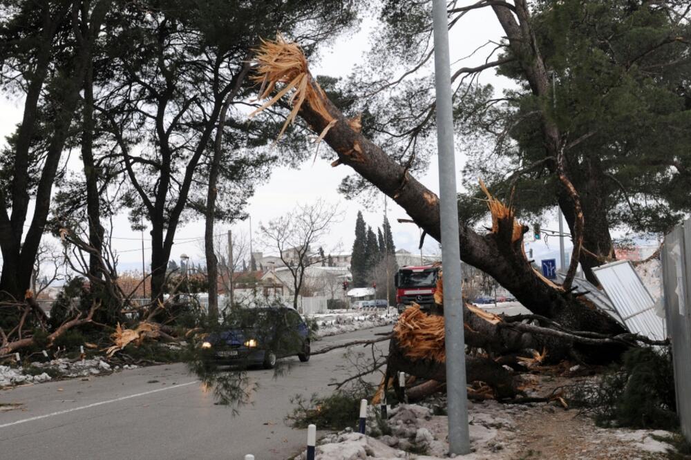 Vjetar Podgorica, Foto: Savo Prelević