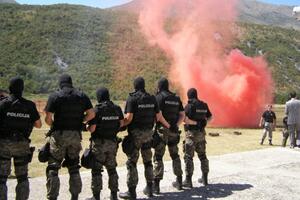 Direktor policije ubuduće odgovoran ministru