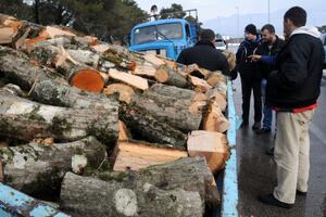 Porodici Lalović poklonili drva za ogrijev