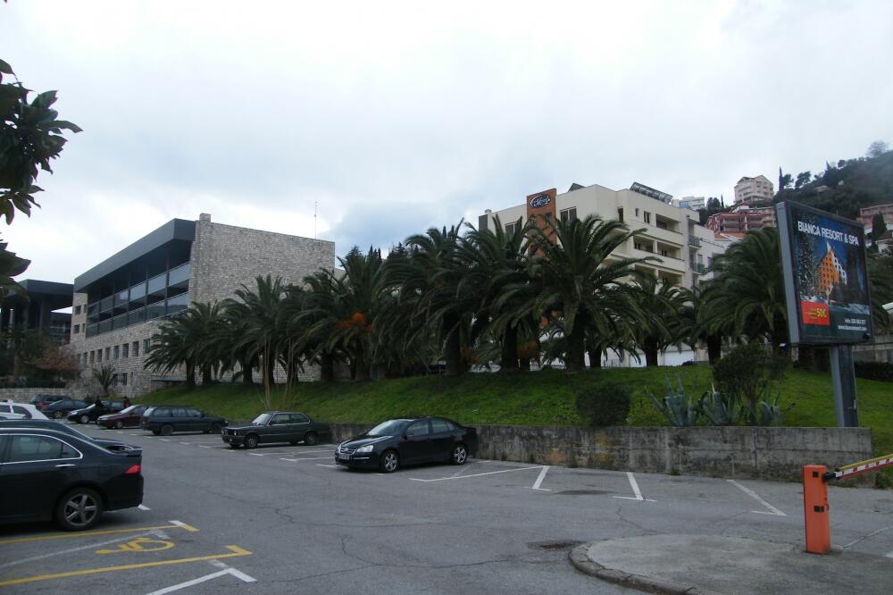 Avala parcela, Foto: Vuk Lajović