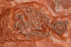 Pronađena gnijezda dinosaurusa stara oko 190 miliona godina