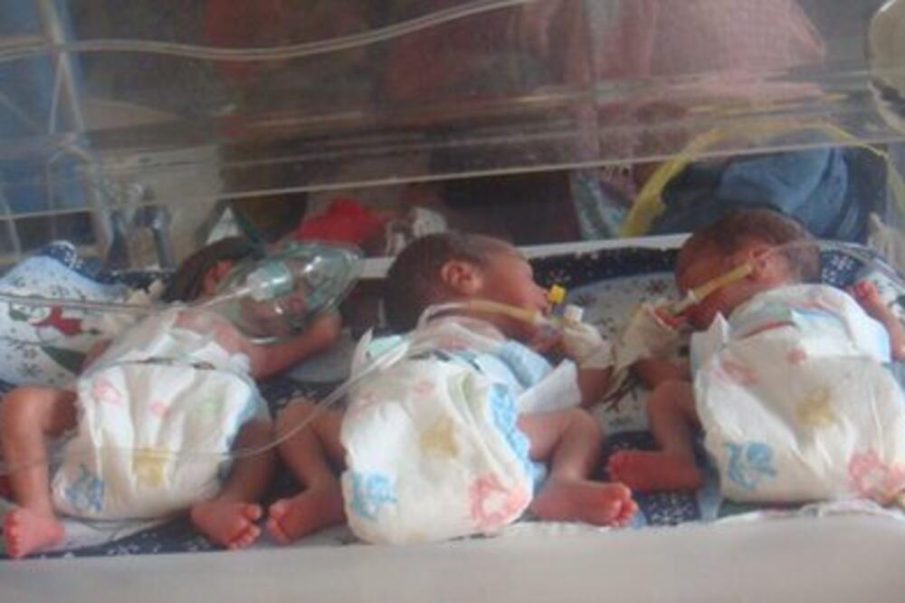 ŠEstorke Avganistan, Bebe, Foto: BBC