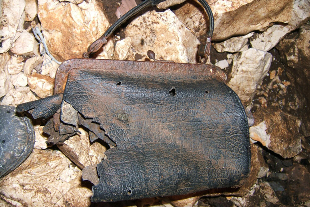 kankaras tomas, golija, Foto: Arhiva Vijesti