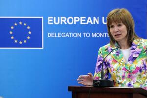 Đurović: U EU 2020. u najboljem slučaju