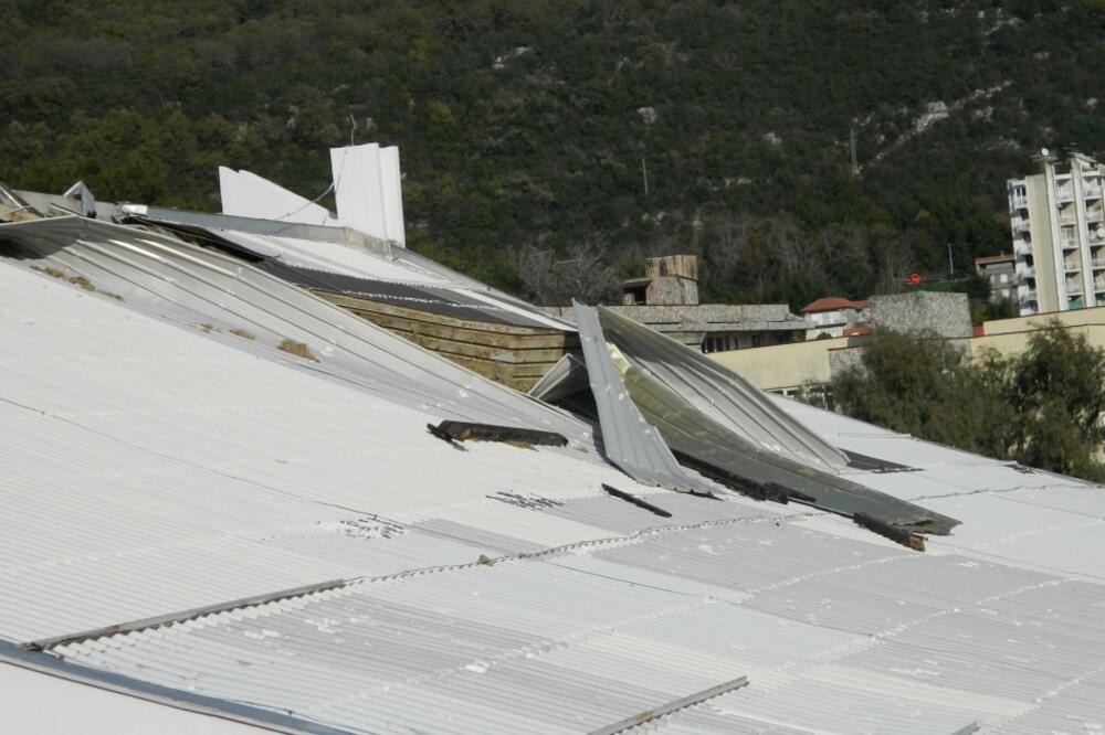 Institut krov, Foto: Slavica Kosić