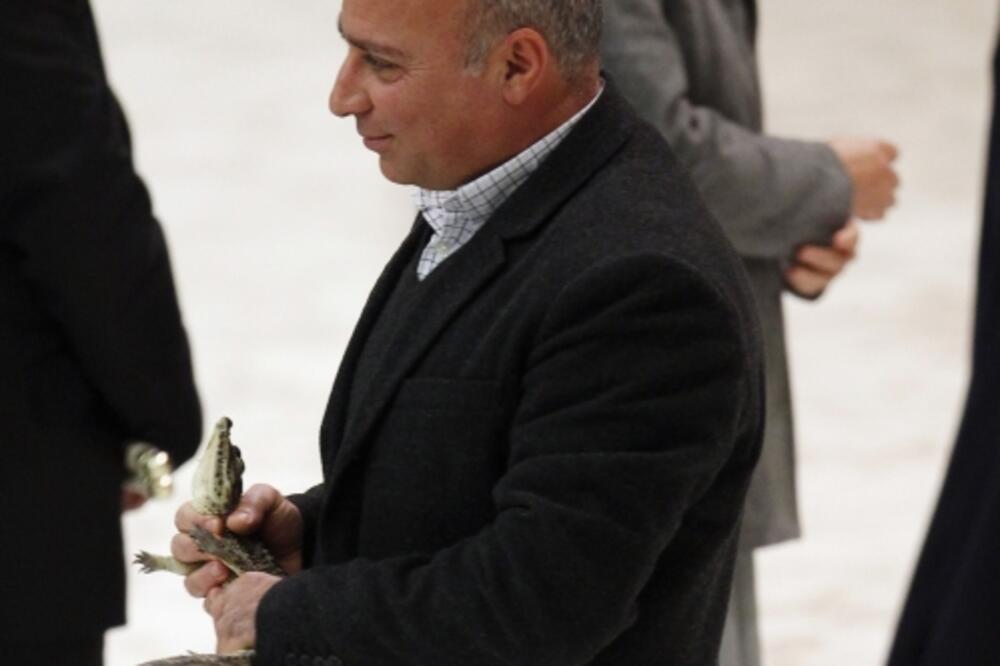 krokodil, papa Benedikt XVI, Foto: Reuters