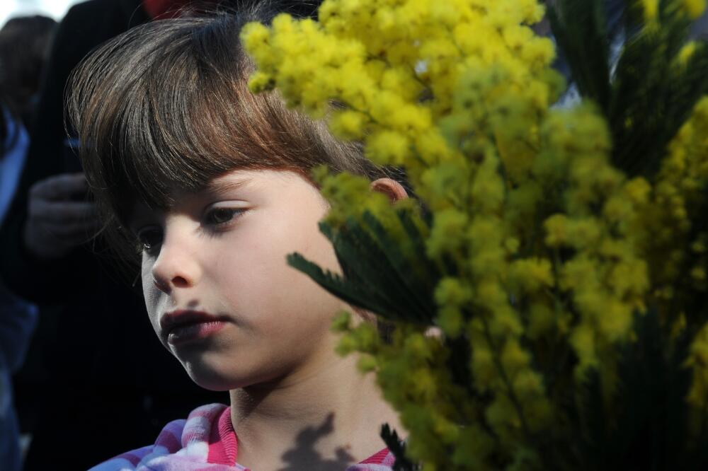 Mimoza, Foto: Boris Pejović