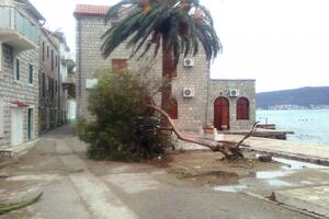 Olujna bura u Tivtu ruši stabla i bilborde
