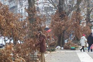 Srbija: Kinezi prodaju badnjake od plastike