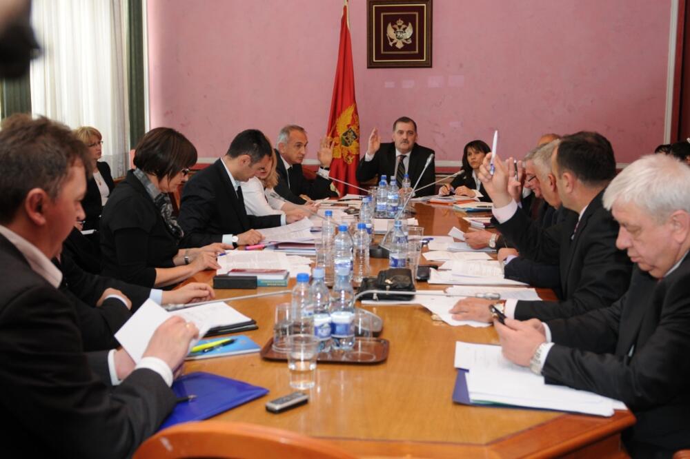 Odbor za politički sistem, Foto: Savo Prelević