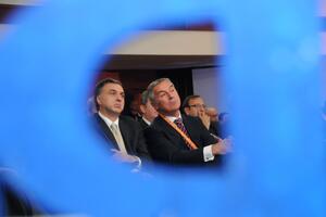 Dragi politički idiote