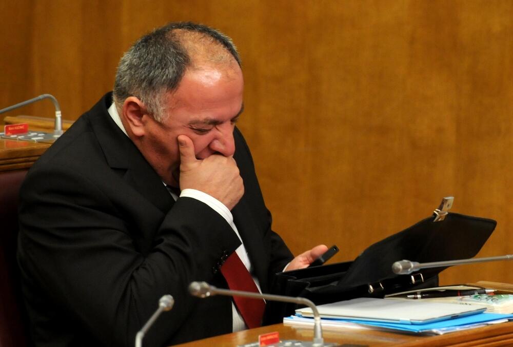 Skupština, poslanici