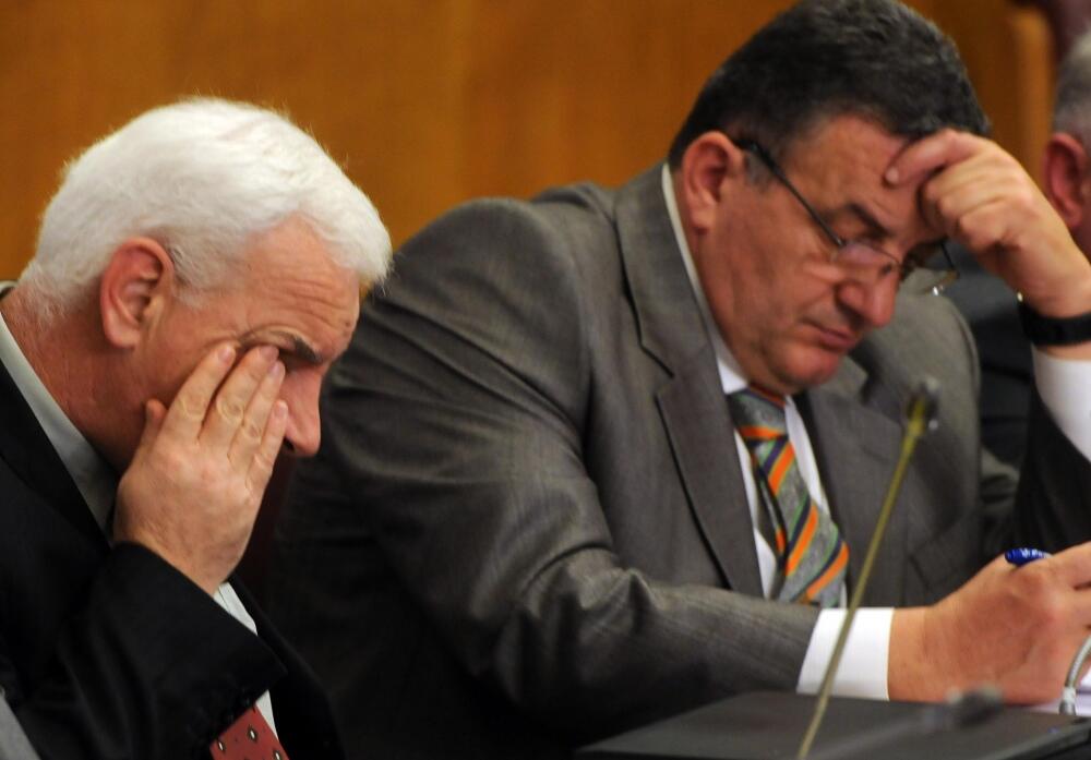 Skupština, poslanici