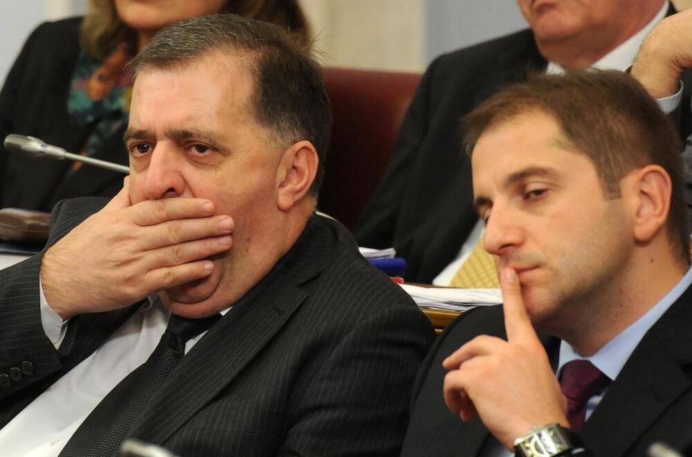 Skupština, poslanici