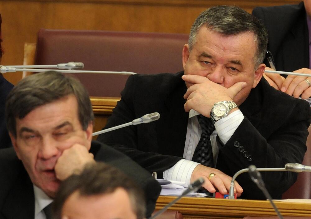 Skupština, poslanici