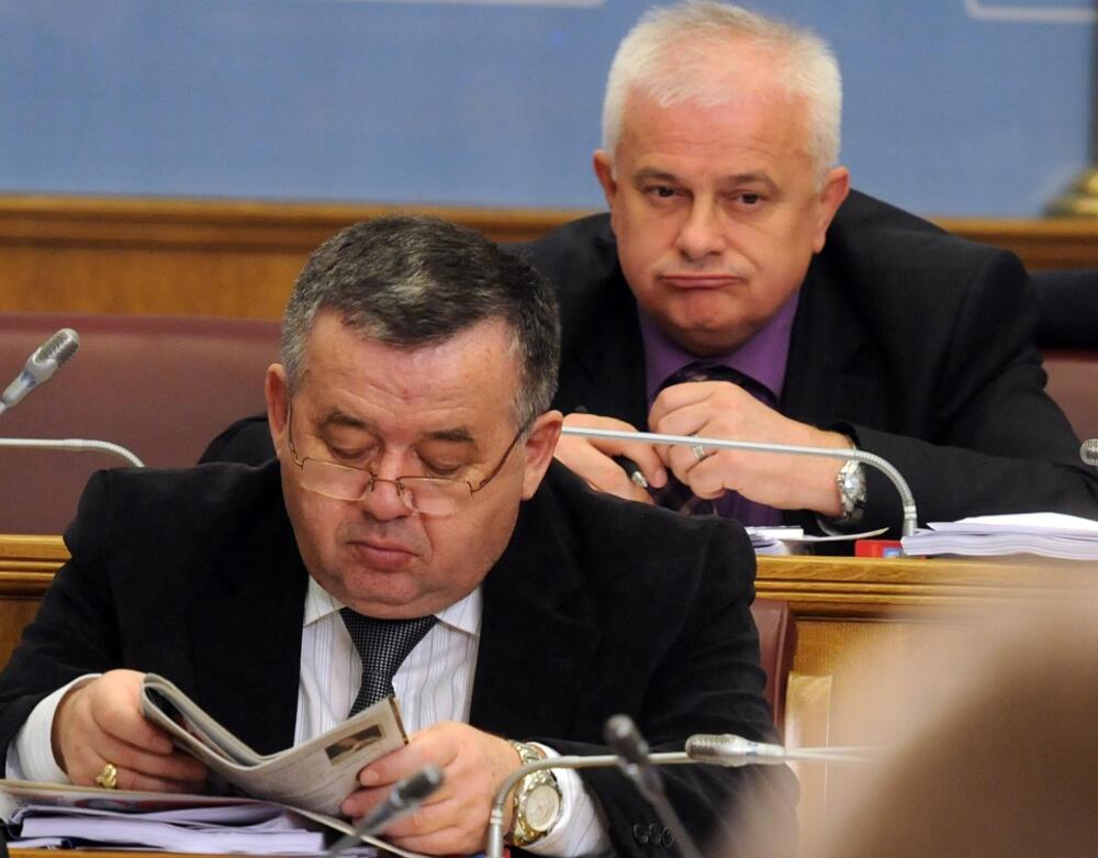 Skupština, poslanici