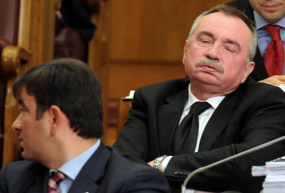 Skupština, poslanici