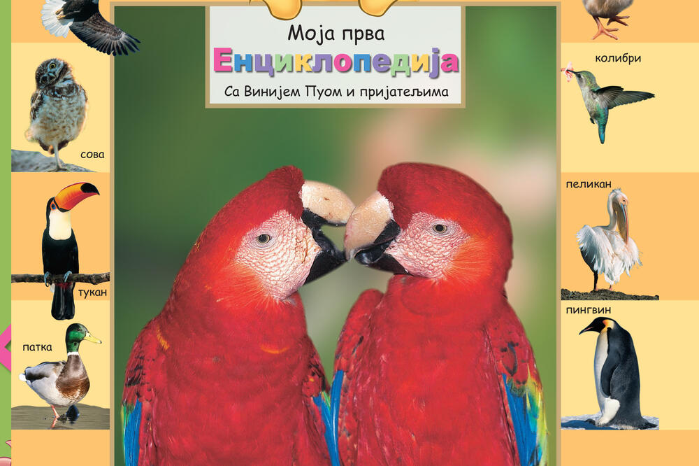 Prva knjiga "Ptice", Foto: Vijesti