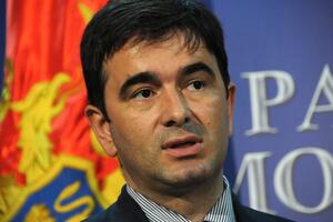 Medojević: Svaki kontakt sa evropskim parlamentarcima je koristan