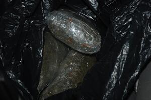 Policija u Bijelom Polju zaplijenila 21 kg skanka