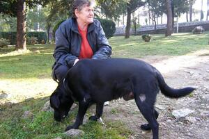 Danilovgrad: Iz "floberke" pucano na kućnog ljubimca