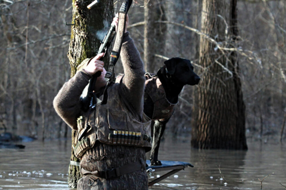 Lov na patke, Foto: Greenhead.net