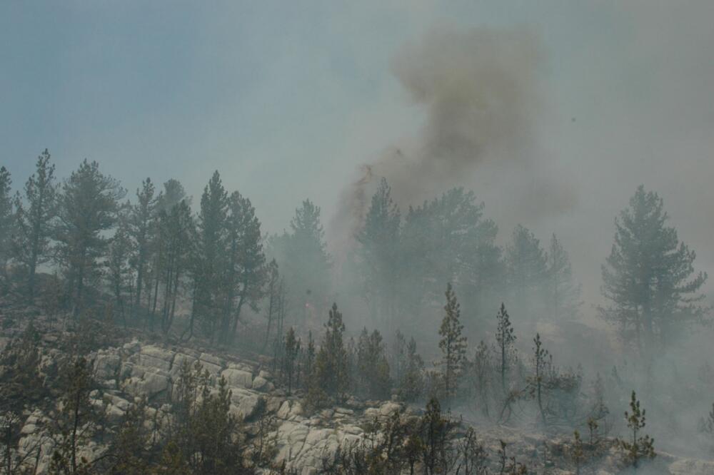 požar u Župi, Foto: Ivan Petrušić