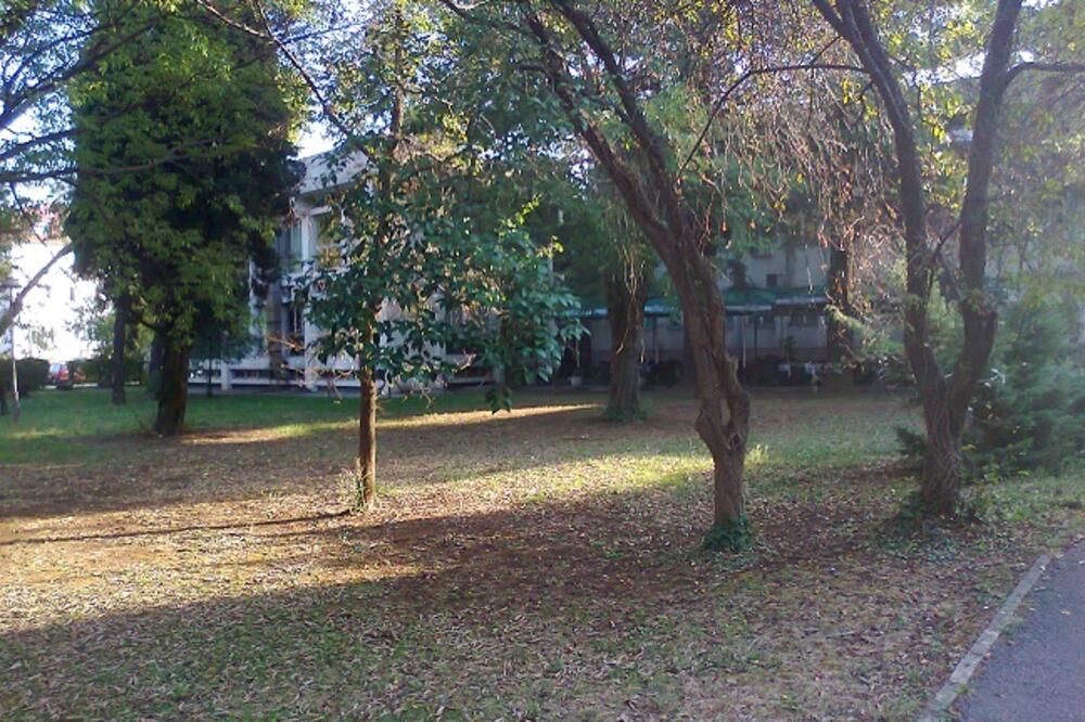 jesen, Foto: Vijesti online